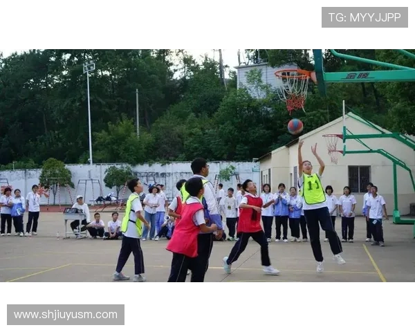 篮球点燃青春激情凝聚团队力量共谱运动精彩华章