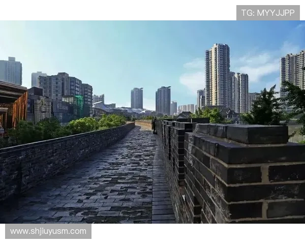 苏州与常州实力对决全面解析两地经济文化发展与未来竞争格局