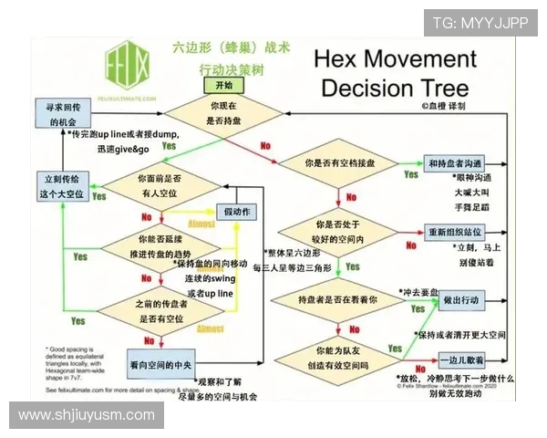 杭州飞盘队与北京飞盘队赛后技术分析与战术反思