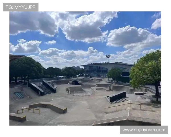 极限运动战术探秘武汉极限运动队的阵地战体系与战术创新