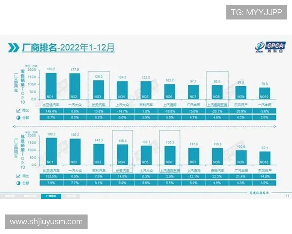 洲际杯积分榜更新杭州排球队以55分稳居第一名